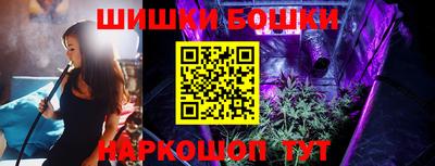 прущие грибы Нальчик