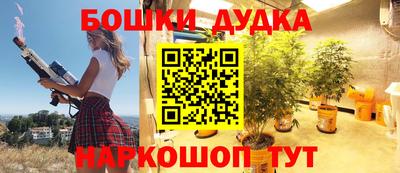 прущие грибы Нальчик