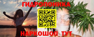 прущие грибы Нальчик