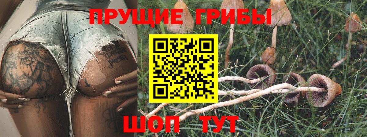 Псилоцибиновые грибы Magic Shrooms Тамбов