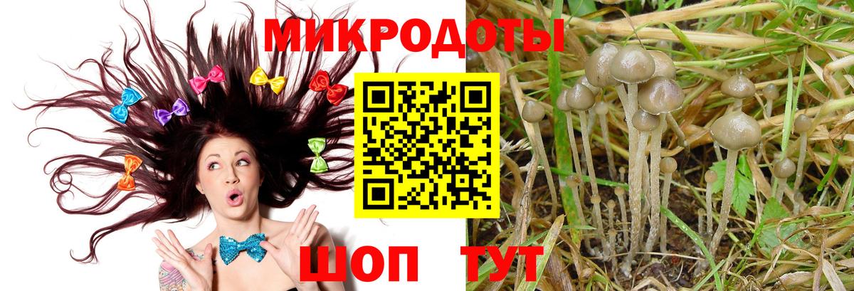 Псилоцибиновые грибы Cubensis  Вход с VPN  Тамбов 